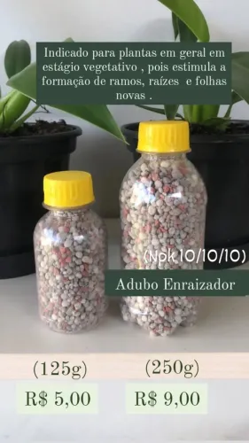 Adubo Enraizador