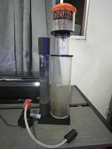 Skimmer Para Aquário Marinho