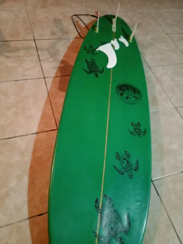 Plancha  + capa + pé de pato + suporte 