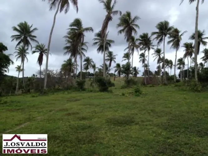 FAZENDA RURAL em Jandaíra - Bahia, Centro