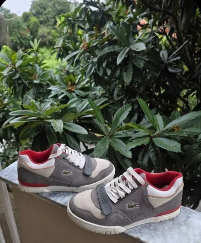 Tenis Lacoste original