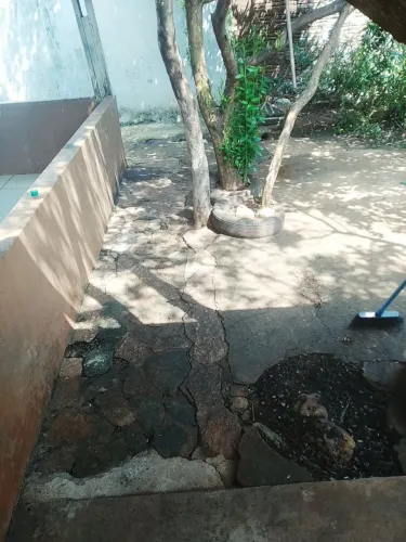 Limpeza de terreno