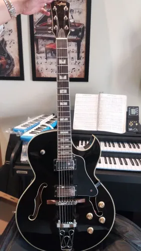 Guitarra Semiacustica Hofma (Regulada)