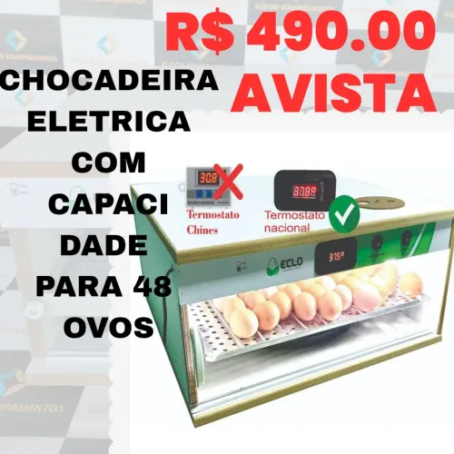 CHOCADEIRA DE OVOS 