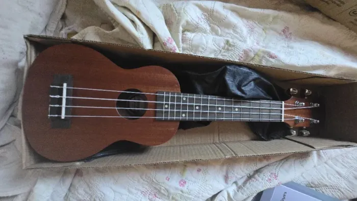 Ukulele Winner