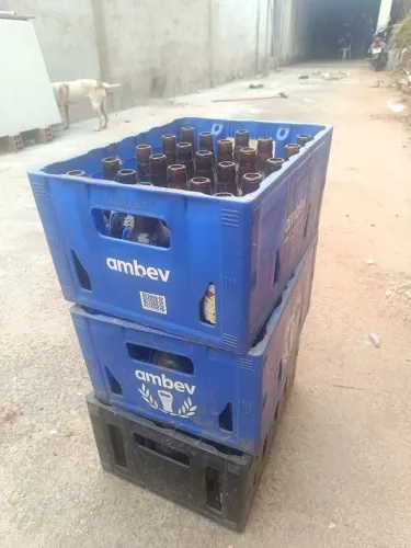 caixa AmBev profissa