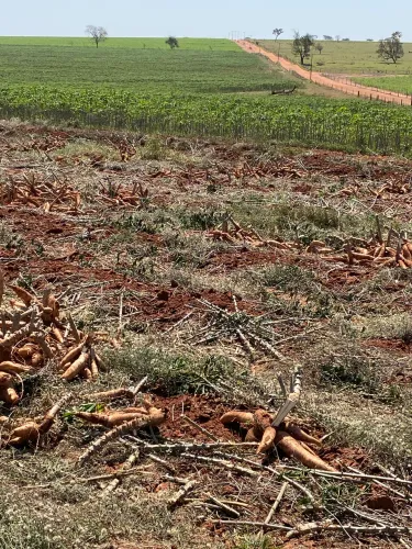 Arrendo fazenda 170 alqueires para plantio