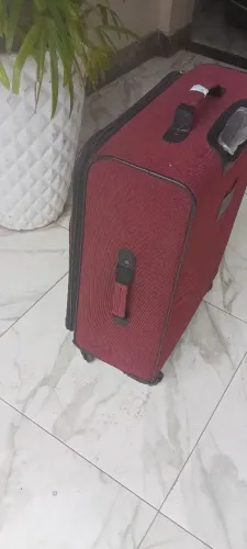 Mola