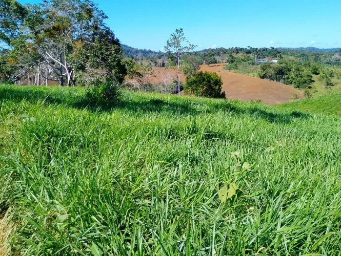 Fazenda à Venda em Santa Luzia - BA