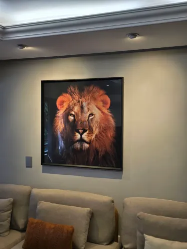 Quadro Decorativo Animal Leão Marrom com Moldura Preta Quadrado com Vidro 100x100cm