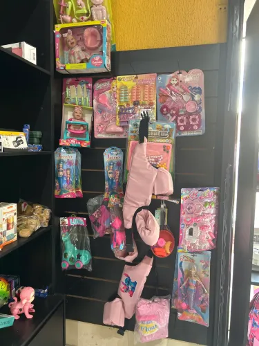Lote de brinquedos feminino