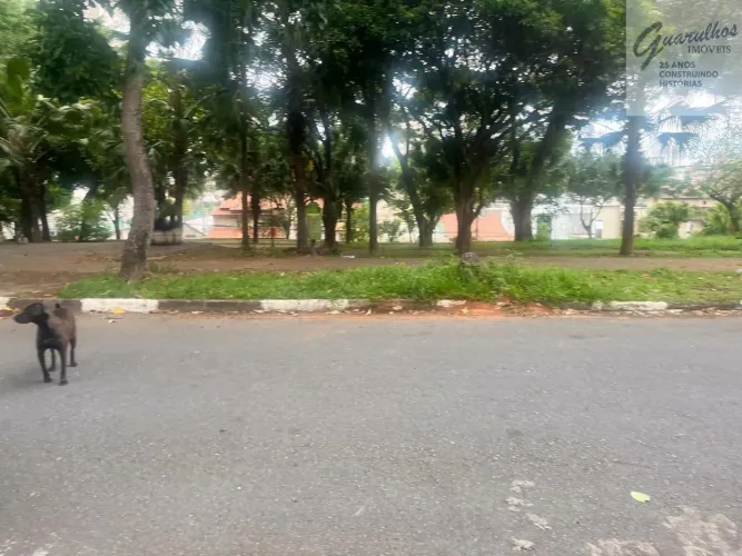 Otimo Terreno Para Construção no Bairro Renato Maia Localização Privilegiada Com 260 Metro