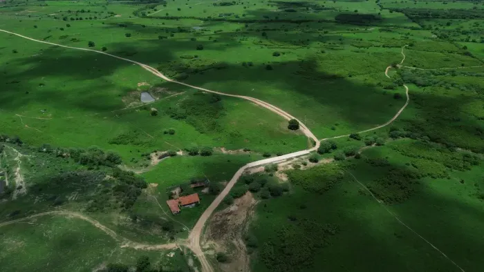 Vendo Fazenda com 111 Hectares por R$ 18 mil o hectare | Documentação regularizada e toda