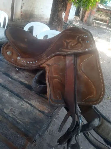 Vende-se celular para cavalo seminovos