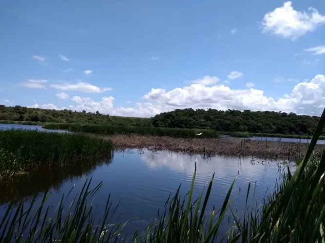 Chácara com 5.200 m² em Jacaraipe, Serra - ES