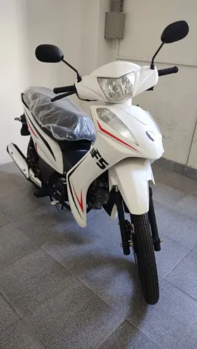 Bull zero km