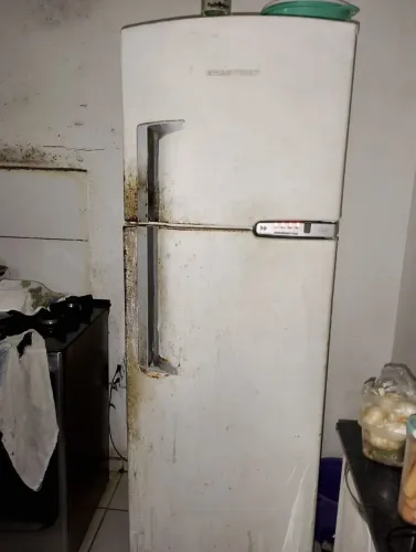 GELADEIRA BRASTEMP 450L GELANDO TUDO