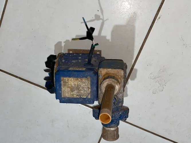 Bomba