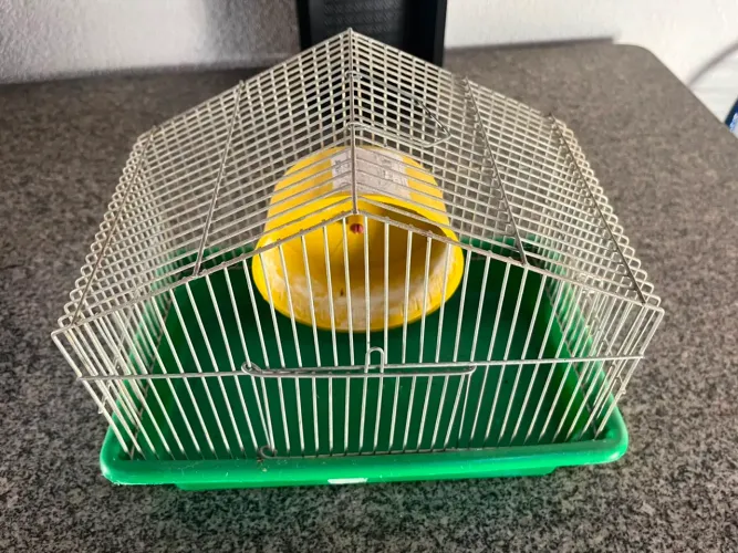 Vendo casinha de hamster