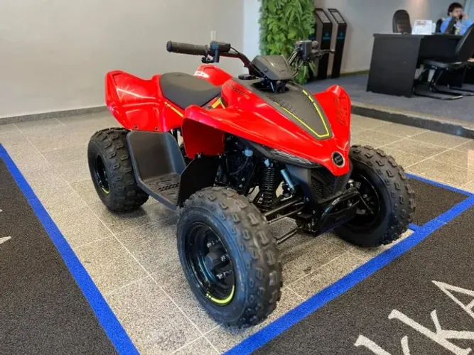 Quadriciclo Cfmoto Cforce 100 Kids 24x*