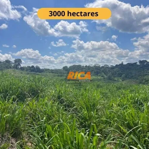 Fazenda à venda,  m² por R$ 7.000.000,00 - Rural - Tarauacá/AC
