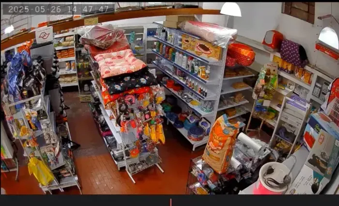 PET SHOP EM SANTO ANDRÉ