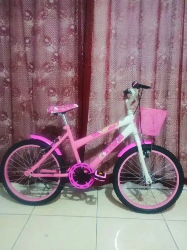 Vendo bicicleta aro 20 feminina personalizada