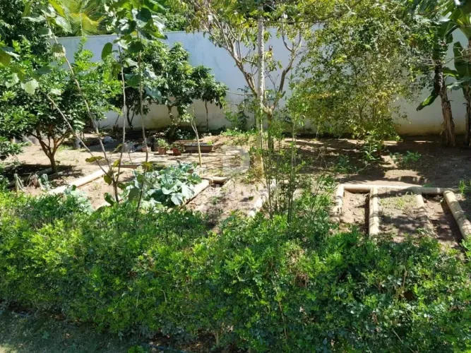 Terreno à venda, 736 m² - Palmeiras - Cabo Frio/RJ