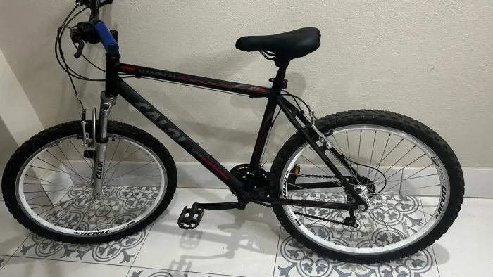 Bicicleta