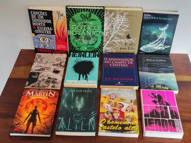 Pacote com 12 Livros variados (Ficção/ Contos/ Terror) * Leia a Descrição!