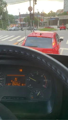 Motorista profissional Cat: D