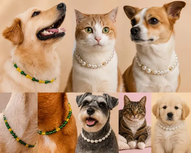 Colar pet