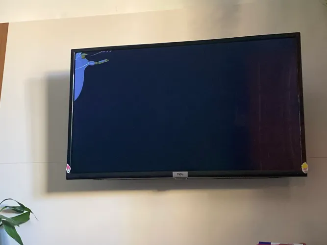 Televisão
