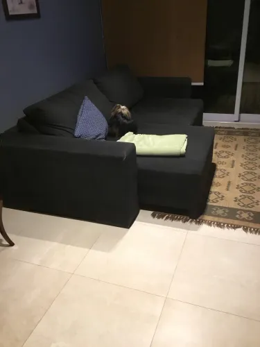 Sofa retratil