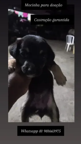Cadela