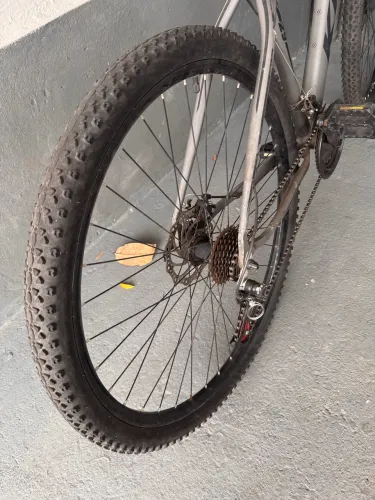 Bicicleta
