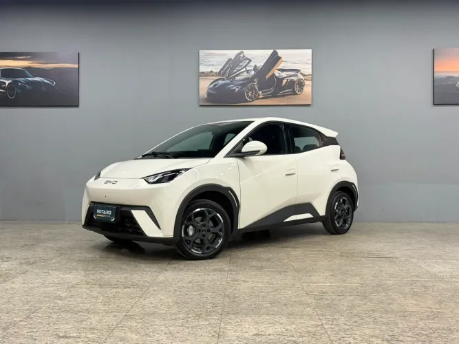 BYD Dolphin Mini (Elétrico) 2027