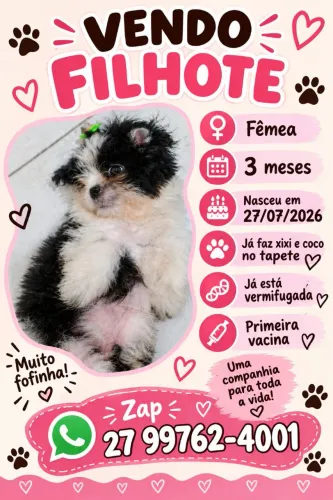 Vende-se Filhote Ilhasa