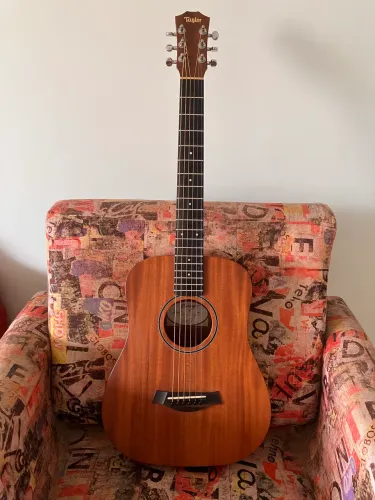 Taylor baby bt2