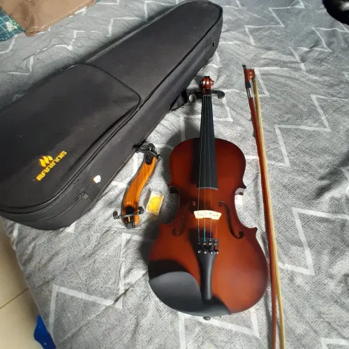 Violino