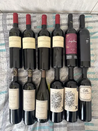 Vinho Argentino Dv Catena, Angelica Zapata, Alma Negra, El Enemigo, Sapo do Otro Pozo