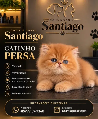 Persa