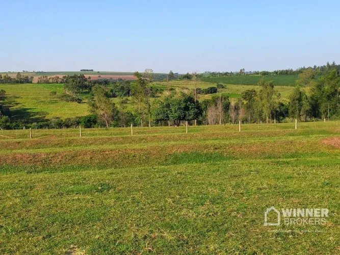 Sítio à venda, 21175 m² por R$ 380.000,00 - Br - Nova Esperança/PR