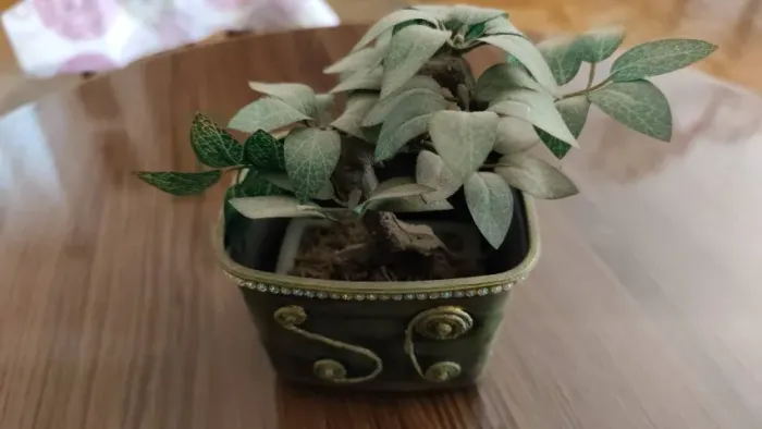 Mini Bonsai Artificial com Vaso Decorado e Detalhes em Strass