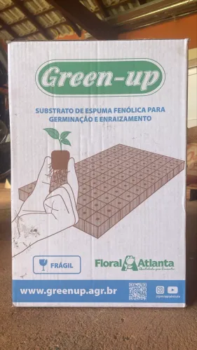 Substrato de espuma fenólica 