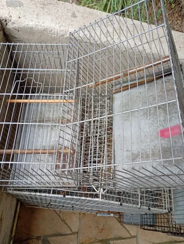 Gaiolas para aves