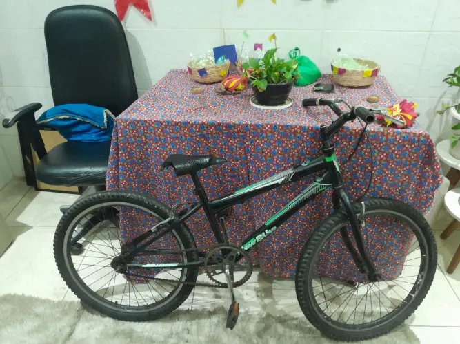 Bicicleta aro 24