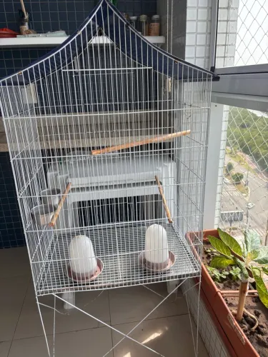 Vendo gaiola