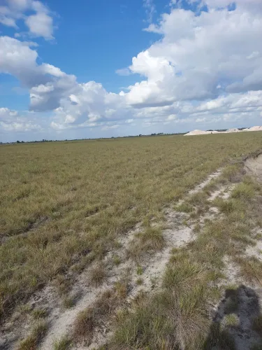 Terreno de chácara região Alto Alegre a 38 de BV medindo 100 X 500 Favor Leia o anúncio