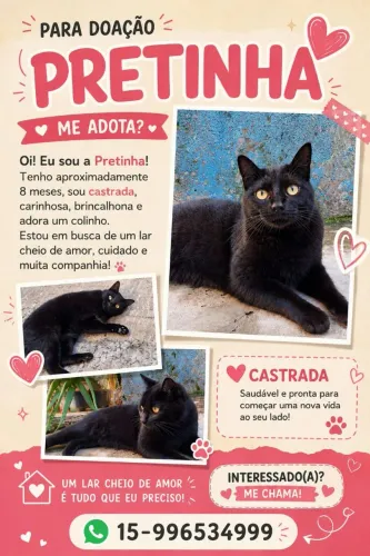 Urgente! Procuro um lar cheio de amor para a Pretinha!